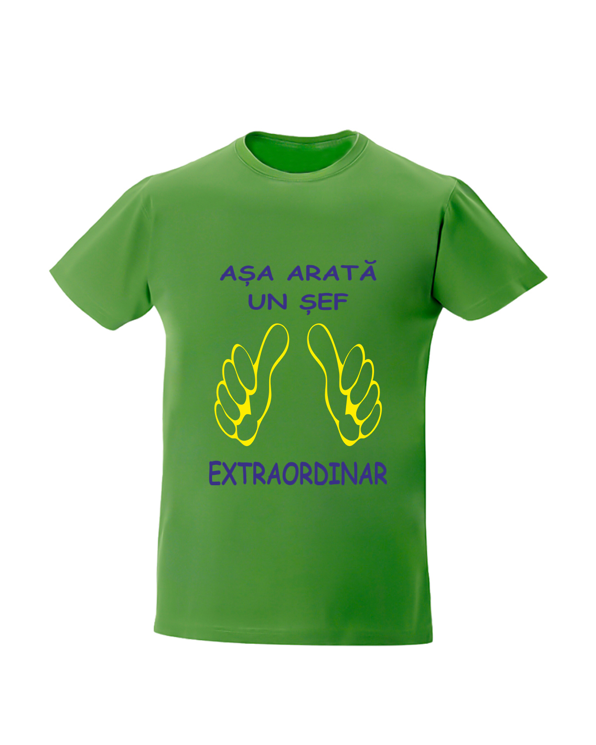 trc016 Asa arata un SEF extraordinar verde Tricou personalizat asa arata un sef extraordinar cadouri pentru sef sefa