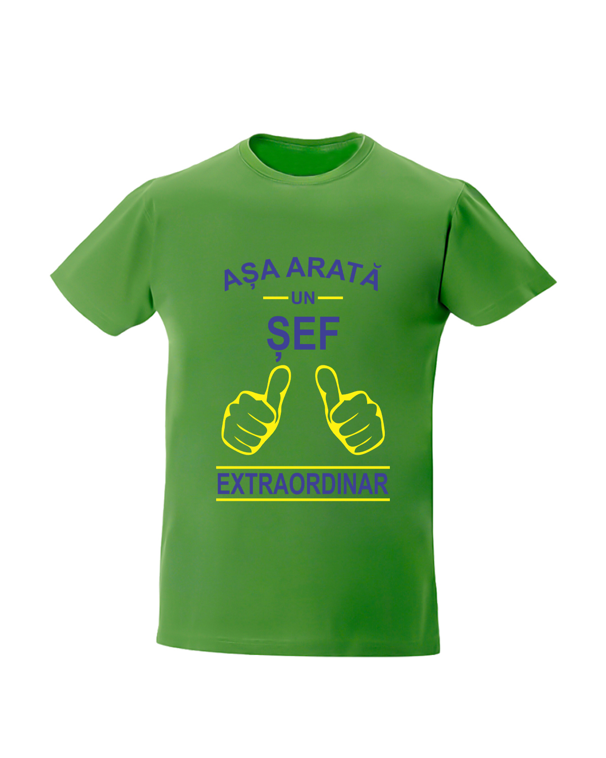 trc031 Asa arata un SEF extraordinar verde Tricou personalizat Asa arata un sef extraordinar cadouri pentru sef