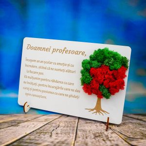 Tablouri lemn cu licheni doamna profesoara cadouri cadre didactice cadouri profesoare